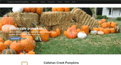 Desktop Screenshot of nebraskapumpkins.com