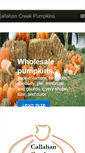 Mobile Screenshot of nebraskapumpkins.com