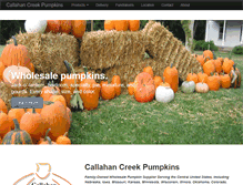 Tablet Screenshot of nebraskapumpkins.com